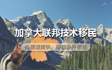 加拿大联邦技术移民