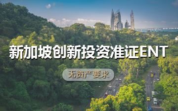 新加坡创新投资准证ENT